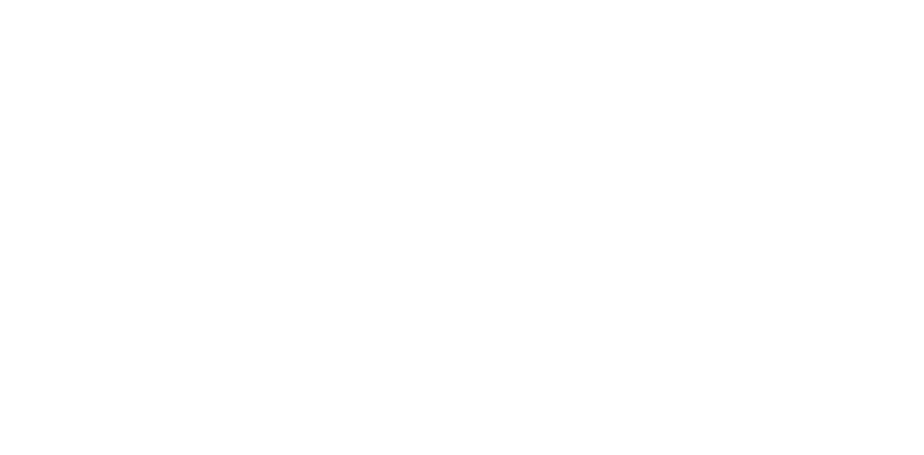 AINA Brain Performance